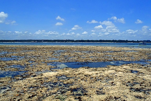 Kenia (539)